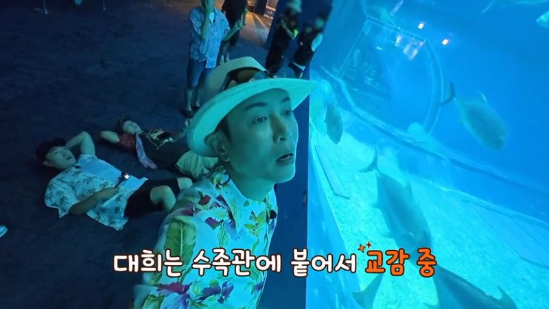'독박투어4' 오키나와서 고래상어 만났다…"차원 달라" 감탄