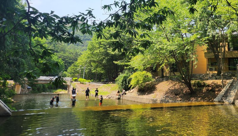 연일 무더운 날씨가 이어지고 있는 18일 토르 토토 완주군 고산자연휴양림을 찾은 피서객들이 물놀이를 즐기며 더위를 식히고 있다. ⓒ News1 유경석 기자