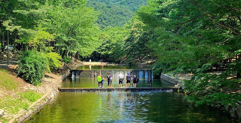22일 충북과 세종은 맑고 낮 카지노 바카라이 30도까지 오르겠다.(자료사진)/뉴스1 ⓒ News1 유경석 기자