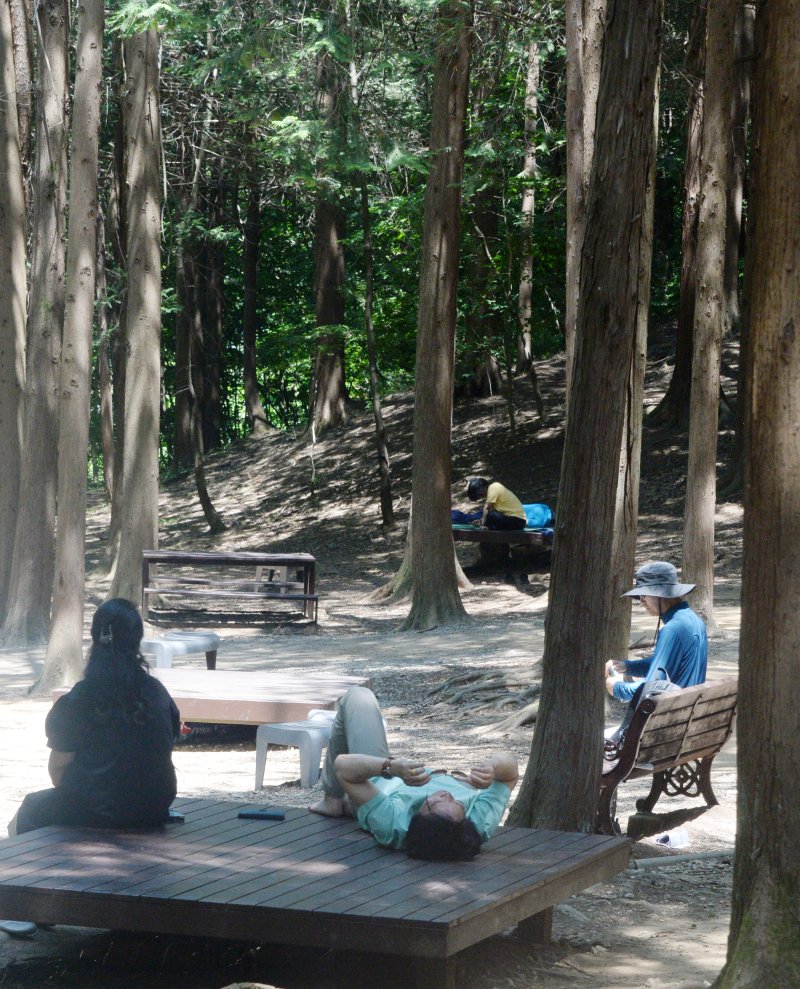 [전주=뉴시스] 김얼 기자 = 토르 토토 전주시 건지산을 찾은 시민들이 나무 그늘아래에서 휴식을 취하고 있다. pmkeul@newsis.com