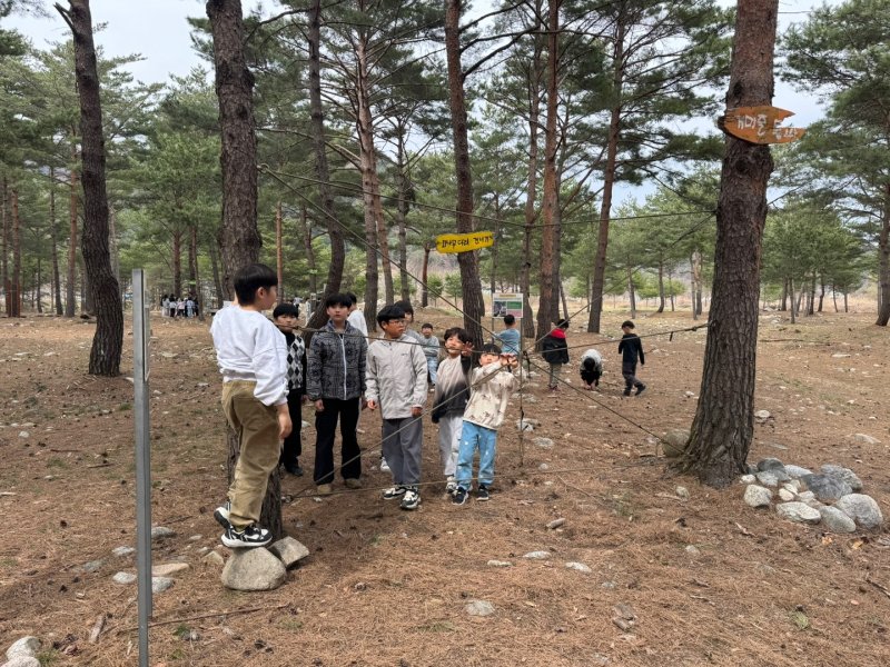 강원 라이브바카라 산골 생태라이브바카라.(라이브바카라군 제공, 재판매 및 DB금지)