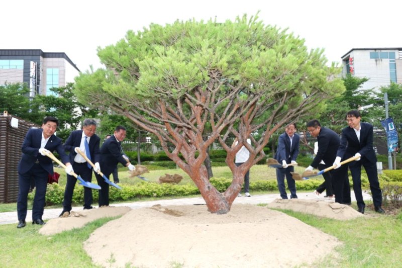 [포항=뉴시스] 송종욱 기자 = 경북 포항시-중국 지린성 바카라사이트 소닉가 자매결연 30주년을 기념해 지난 20일 포항 철길 숲에서 우정과 협력을 다짐하는 기념 식수를 했다. 사진은 장상길 부시장, 장옥량 바카라사이트 소닉 부시장, 김일만 시의회 의장 등 두 도시 관계자가 반송(盤松)을 심는 모습. (사진=포항시 제공) 2025.06.22. photo@newsis.com