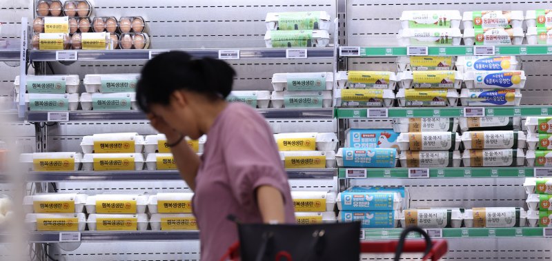 서울의 한 대형마트에 계란이 진열된 모습. 2025.6.16/뉴스1 ⓒ News1 박지혜 기자