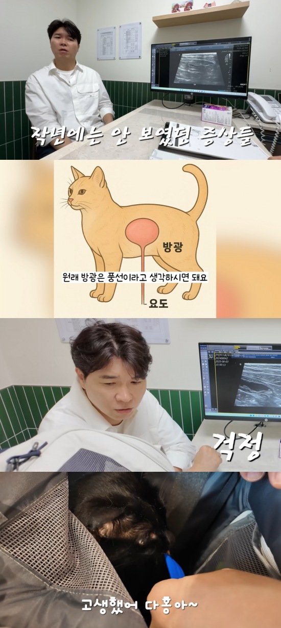 "종괴 가능성"…박수홍, 6살 다홍이 건강검진 결과 충격