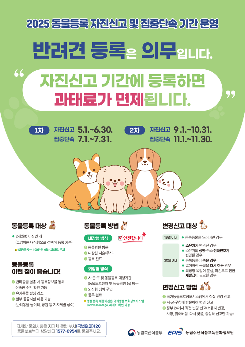 광주광역시, 7월 동물등록 집중 단속...과태료 최대 100만원