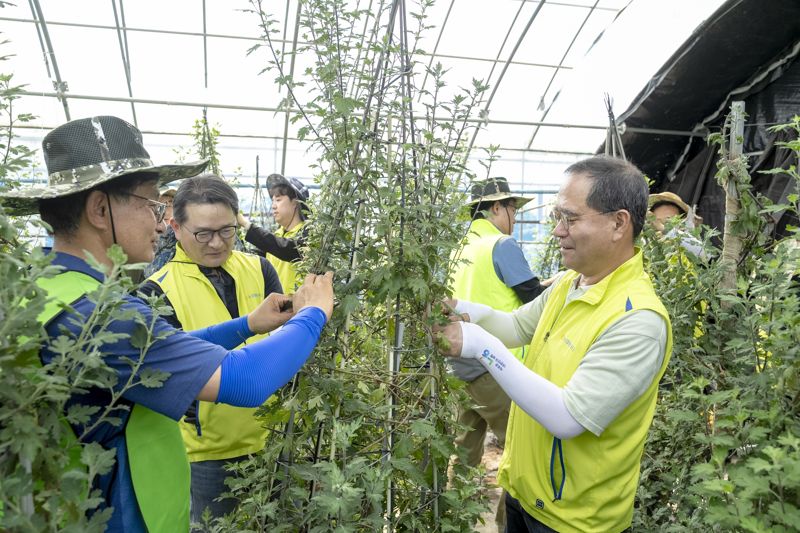농협금융, '범농협 한마음 농촌일손 지원' 실시