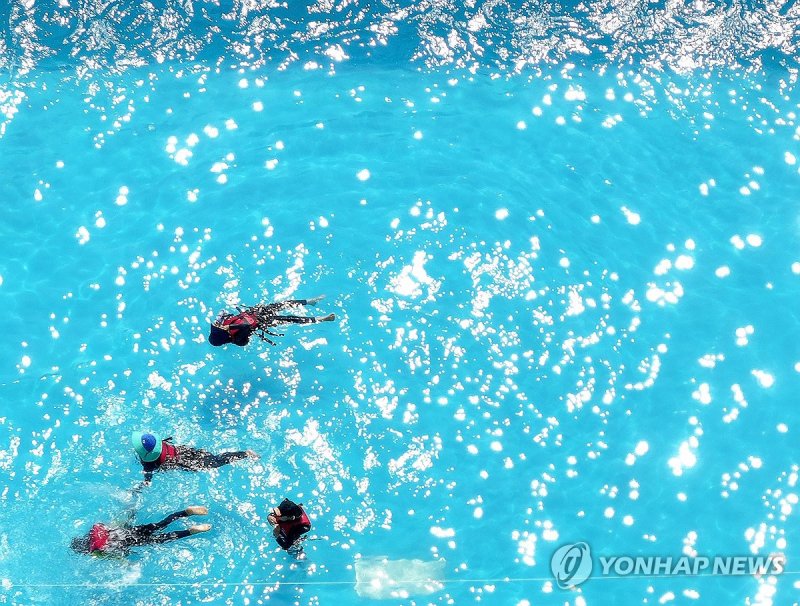 햇볕 위에 둥둥 (출처=연합뉴스)