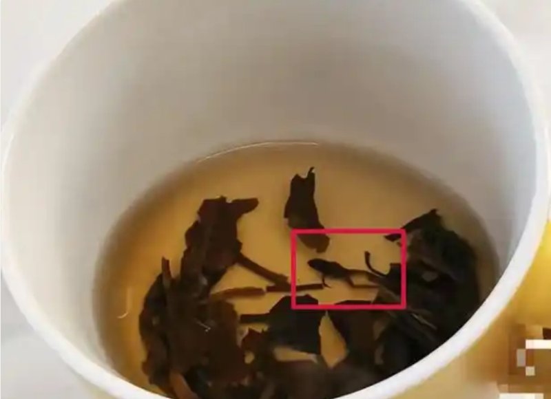 [서울=뉴시스]중국의 프리미엄 차 브랜드 나쉐샤오허차(奈雪小盒茶) 제품에서 말라붙은 개구리 사체가 통째로 발견돼 충격을 주고 있다.(사진=선전신문망) *재판매 및 DB 금지