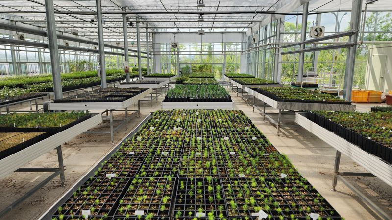 한국수목원정원관리원, 자생식물 소재 활성화 박차