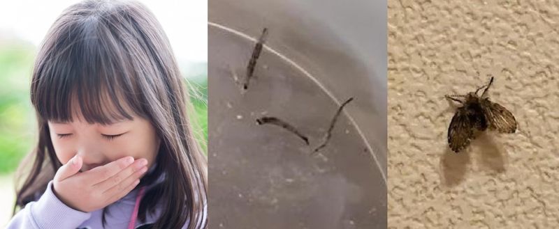 한달간 살아있는 벌레 계속 토해낸 8살 소녀..뱃속에 끔찍한 '이것' 들어있었다  