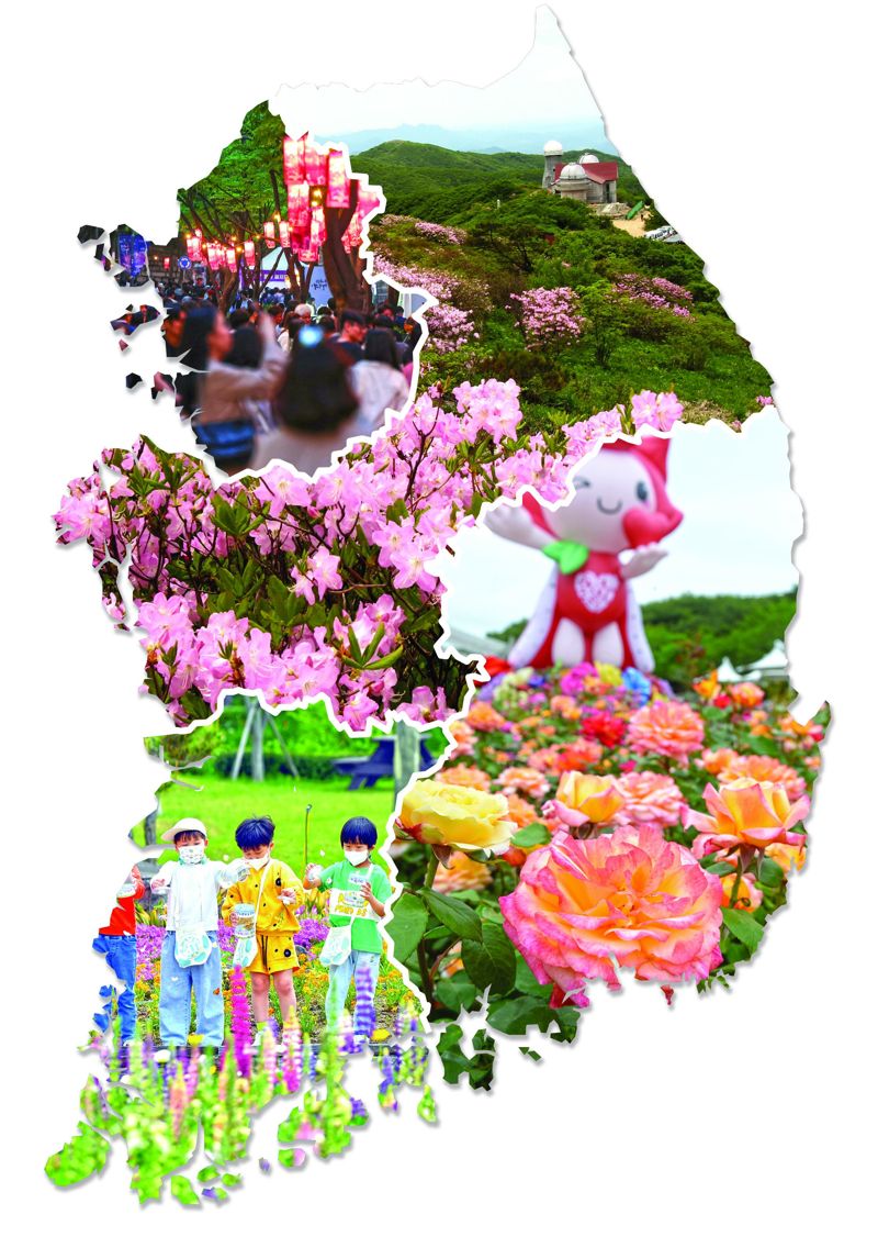 2025년 3~5월 열린 봄 축제를 대상으로 한 '대한민국 축제평가'에서 각 권역별 1위를 차지한 축제들. 왼쪽 위부터 시계방향으로 서울·경기권 1위이자 종합평가 순위 1위를 차지한 '정동야행', 충청·강원권 1위를 기록한 '단양소백산철쭉제', 경상권 1위에 오른 '울산대공원 장미축제', 전라권 1위에 랭크된 '함평나비대축제'. 사진=뉴스1뉴시스