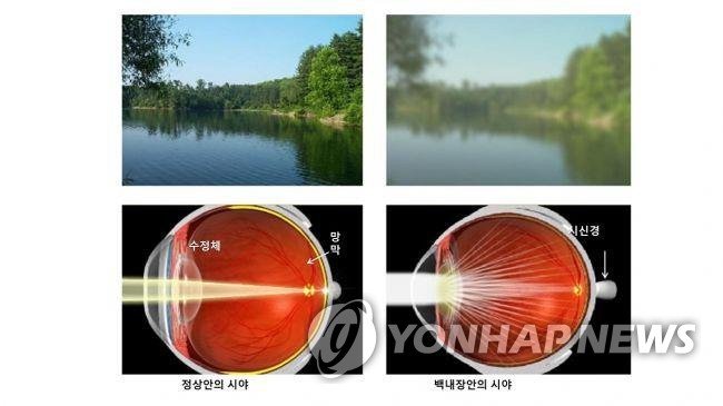 /사진=연합뉴스