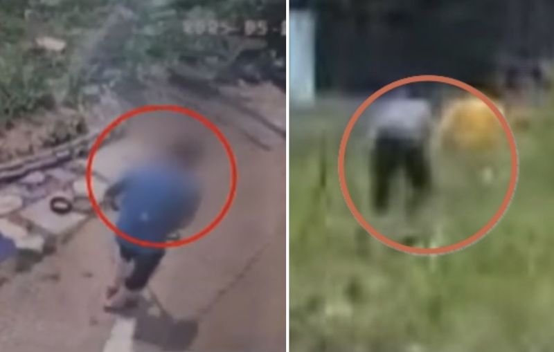 이웃집 반려견 매장한 男, "모른다" 잡아떼더니 CCTV 들이밀자 한 말이...