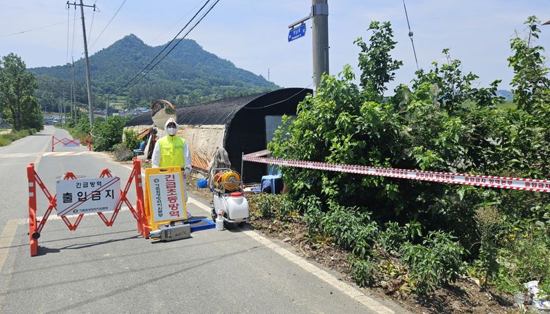 '강진 가금계류장서 H5형 조류인플루엔자 발생'...전남도, 확산 차단 온 힘