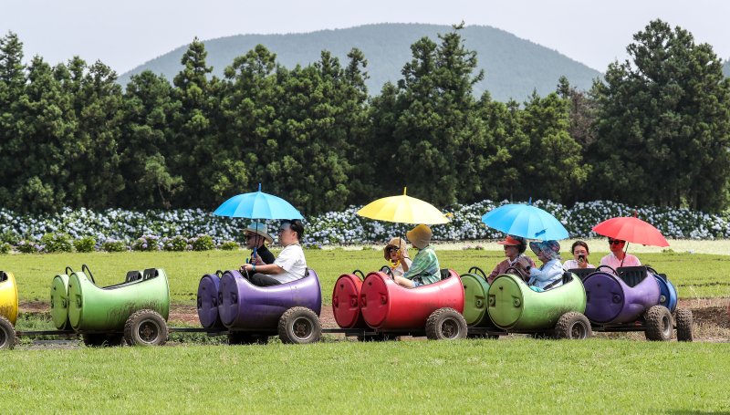 [서귀포=뉴시스] 우장호 기자 = 장마가 소강상태에 놓인 27일 오전 제주 서귀포시 표선면 보롬왓 농장에서 우산을 쓴 방문객들이 깡통열차를 타며 즐거운 한때를 보내고 있다. 2025.06.27. woo1223@newsis.com