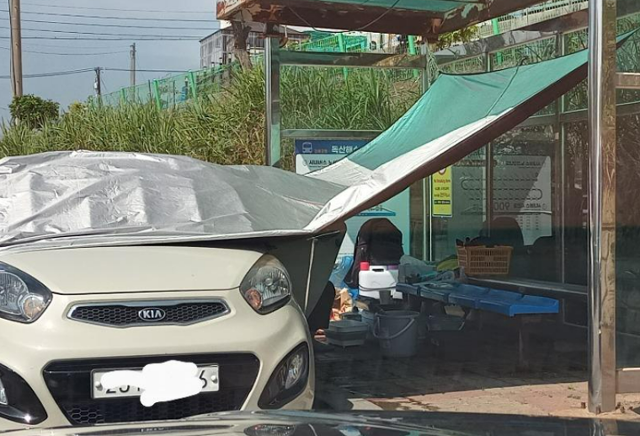 /사진=보배드림