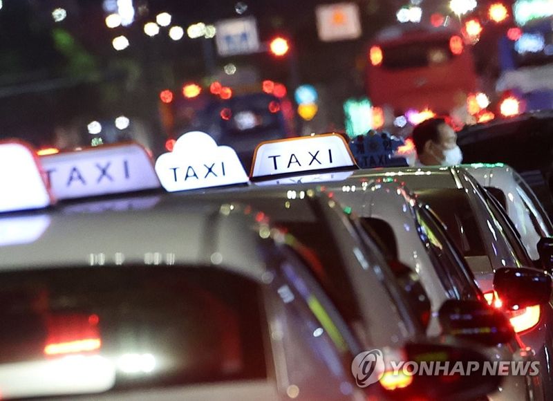'택시기사 살해' 20대 “지름길 알려줬는데 30분간 헤매서 범행”