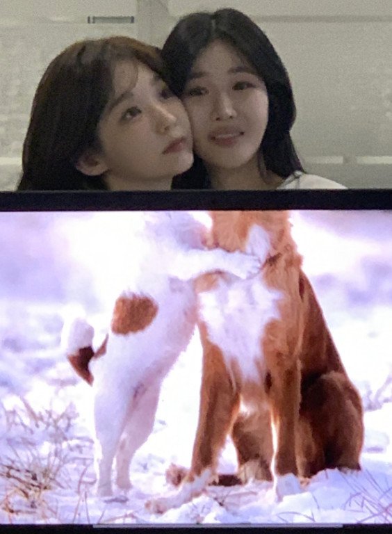 강민경, 이해리와 장난기 가득 일상…비글미 폭발 [N샷]