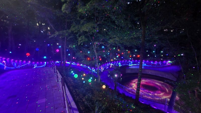 [바카라사이트=뉴시스] 바카라사이트 사직공원 '빛의 숲'. (사진=광주시청 제공). photo@newsis.com *재판매 및 DB 금지