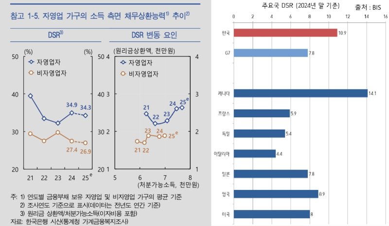 (좌측 : 한국은행 6월 금융안정보고서, 우측 : BIS Debt service ratios)