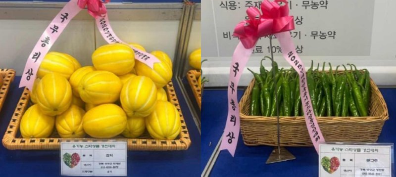 경북 벳33 '참외'(왼쪽)와 영양 '풋고추'가 '대한민국 유기농 스타상품 경진대회'에서 각각 국무총리상을 수상했다.(경북도 제공. 재판매 및 DB 금지)