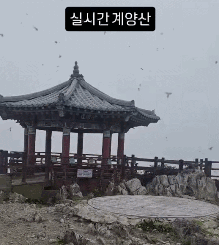 /사진=인스타그램 'kimlark34'