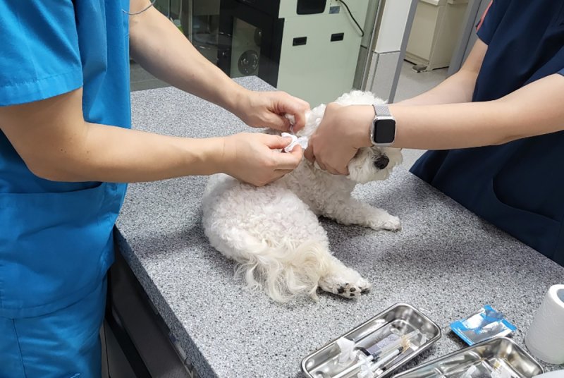 [하반기 달라지는 것들]동물병원 진료비 누구나 알도록 한다