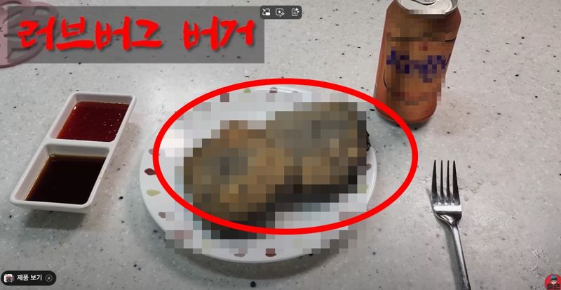 "맛이..." 러브버그 채집해 버거 만들어 먹은 유튜버 화제
