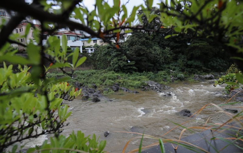 [제주=뉴시스] 우장호 기자 = 사진은 제주도 산지를 중심으로 폭우가 쏟아지고 있는 지난해 9월 21일 오전 제주시 용담동 한천 복개구조물 인근 골짜기로 빗물이 흘러가고 있는 모습. 2024.09.21. woo1223@newsis.com