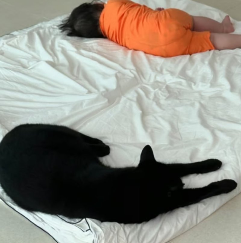 '70억 집' 박수홍 딸&middot;다홍이 꿀잠…"복덩이들"