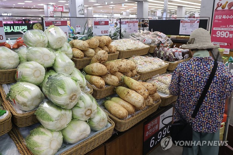 장마·폭염 앞두고 채소값 들썩 (출처=연합뉴스)