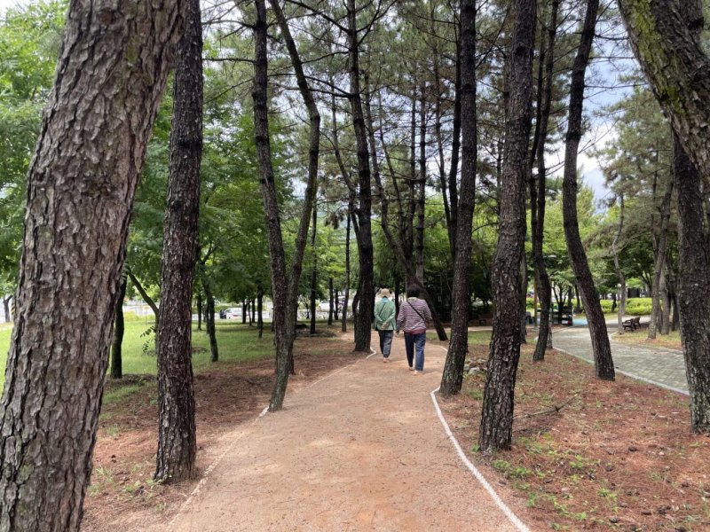 [통영=뉴시스] 신정철 기자= 슬롯사이트 추천는 자연친화적 야외활동과 시민 건강 증진을 위해 추진해 온 ‘권역별 맨발걷기길 확충사업’의 일환으로 통영생태숲과 안정공원에 맨발걷기길을 조성했다고 2일 밝혔다.사진은 통영생태숲 맨발걷기길 모습.(사진=슬롯사이트 추천 제공).2025.07.02. photo@newsis.com *재판매 및 DB 금지
