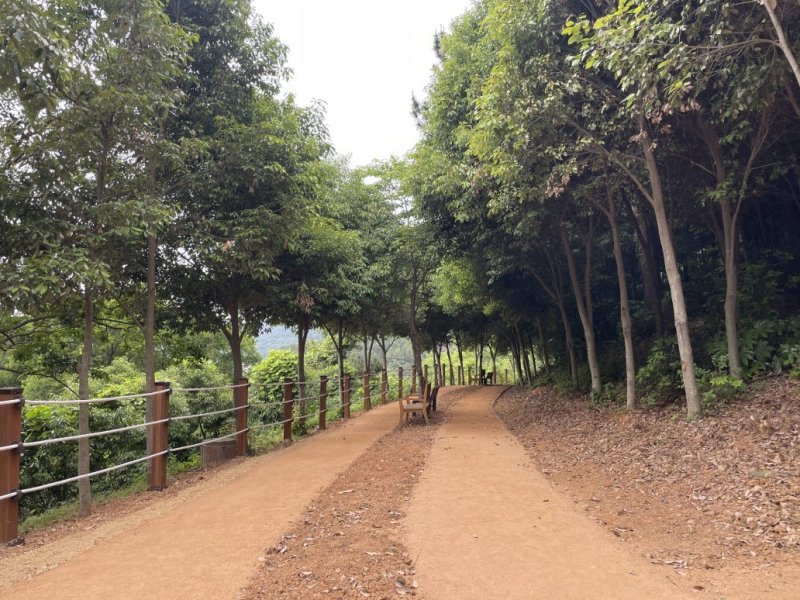 [통영=뉴시스] 신정철 기자= 슬롯사이트 추천는 자연친화적 야외활동과 시민 건강 증진을 위해 추진해 온 ‘권역별 맨발걷기길 확충사업’의 일환으로 통영생태숲과 안정공원에 맨발걷기길을 조성했다고 2일 밝혔다.사진은 안정공원 맨발걷기길 모습.(사진=슬롯사이트 추천 제공).2025.07.02. photo@newsis.com *재판매 및 DB 금지