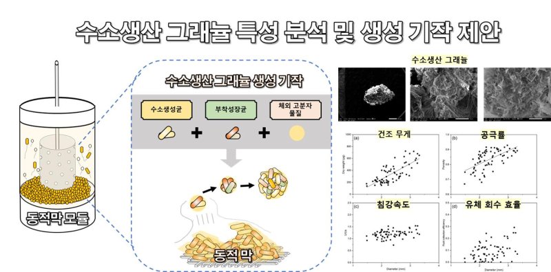 김상현 교수는 미생물의 입상화(작은 입자들이 뭉쳐 더 큰 입자인 과립을 형성하는 과정)를 촉진하는 기술을 이용해 기존의 값비싼 멸균 과정 없이 활성이 높은 기부벳 생산 미생물을 고농도로 보유하는 연속 기부벳 생산 기술을 개발했다. (사진=과기정통부 제공) *재판매 및 DB 금지
