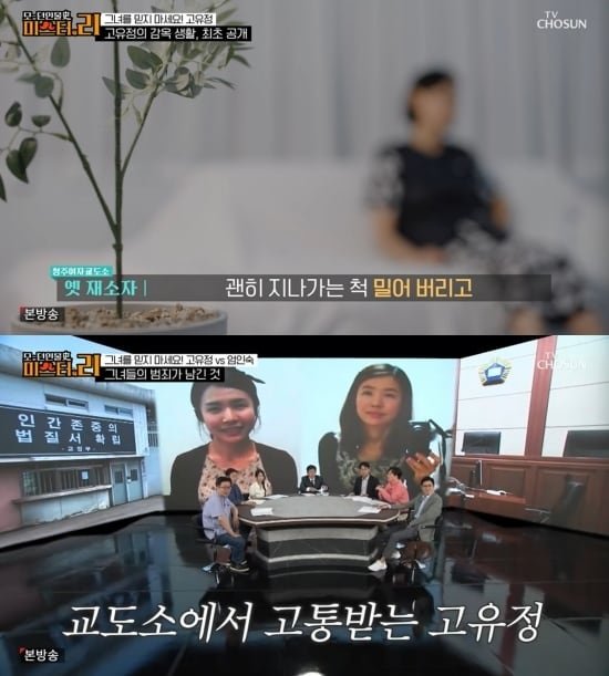 /사진=모-던인물史 미스터.리