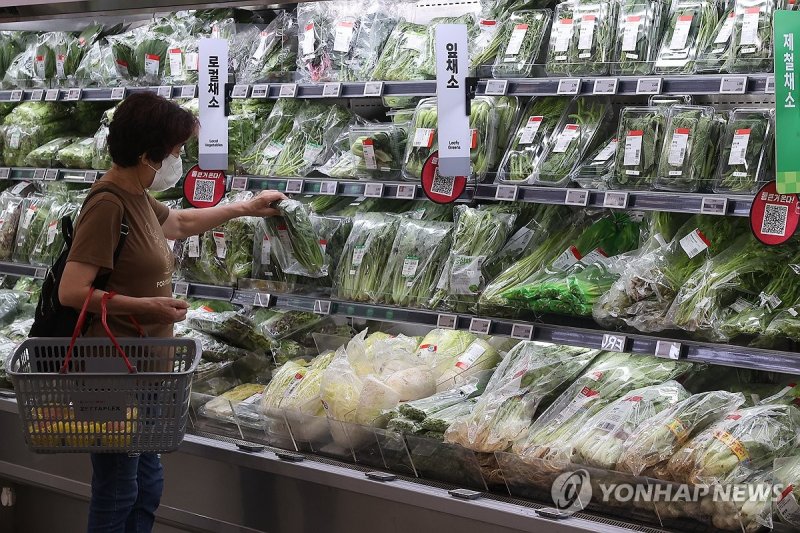 채소값 들썩…스피드 바카라 사이트 비상등 (출처=연합뉴스)