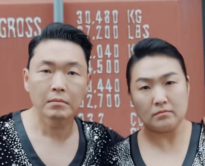 지금까지 이런 도플갱어는 없었다…싸이인가 이수지인가