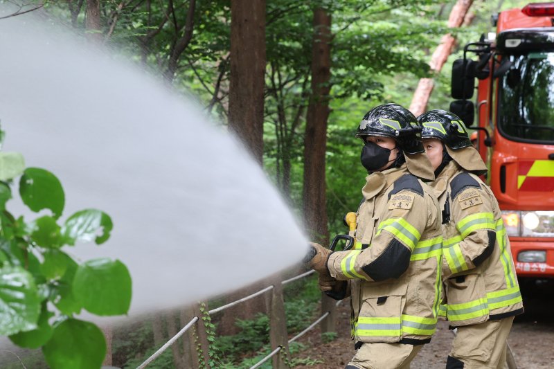 [서울=뉴시스] 권창회 기자 = 3일 서울 노원구 삼육대학교 인근 제명호에서 서울소방 관계자들이 '러브버그(붉은등우단털파리)' 방제작업을 하고 있다. 2025.07.03. kch0523@newsis.com