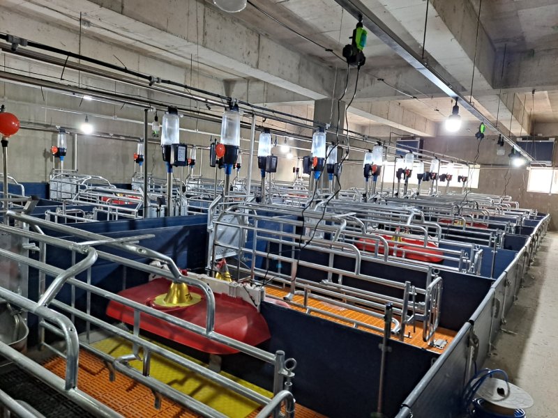 [밀양=뉴시스] 밀양시가 축산시설 현대화 사업 지원 신청을 받는다. 사진은 완료된 축사 전경. (사진=밀양시 제공) 2025.05.02. photo@newsis.com *재판매 및 DB 금지