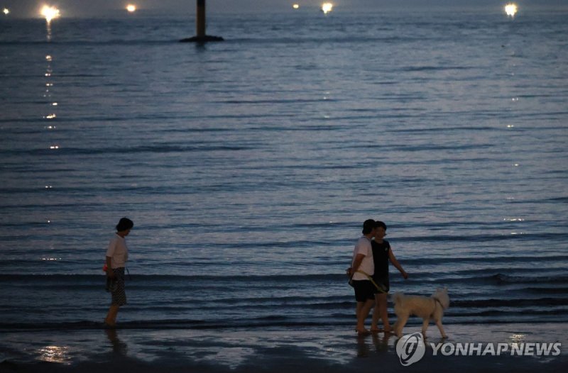 잠 못드는 밤 (출처=연합뉴스)