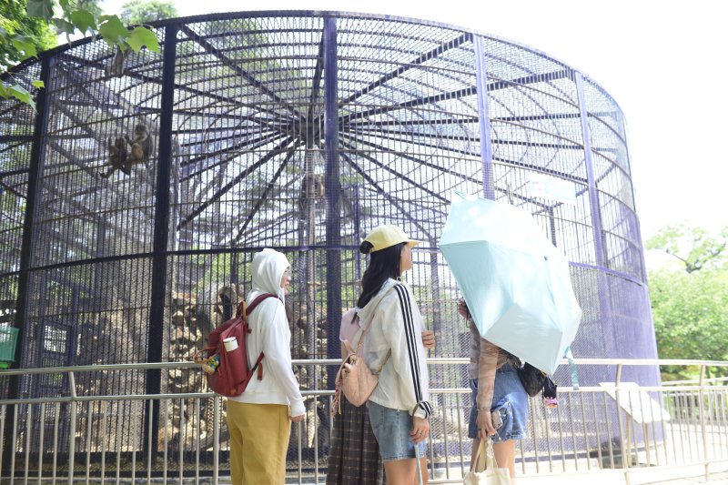 4일 대구 달성공원을 방문한 대만 관광객들. 관광객들은 더위에 지친 동물에 대한 더 따뜻한 관심을 요구하고 있다.2025.7.4/뉴스1 ⓒ News1 이성덕 기자