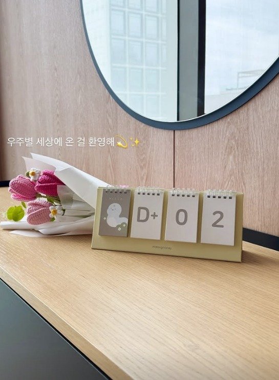40세 레이디제인, 3차 시험관 끝에 '쌍둥이 엄마' 됐다…"환영해" 감격 소감