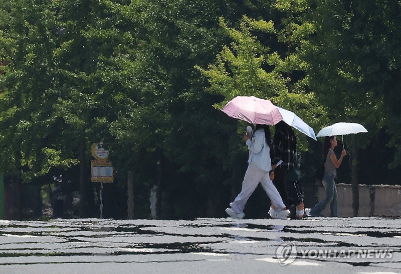 폭염, 양산은 필수 (출처=연합뉴스)