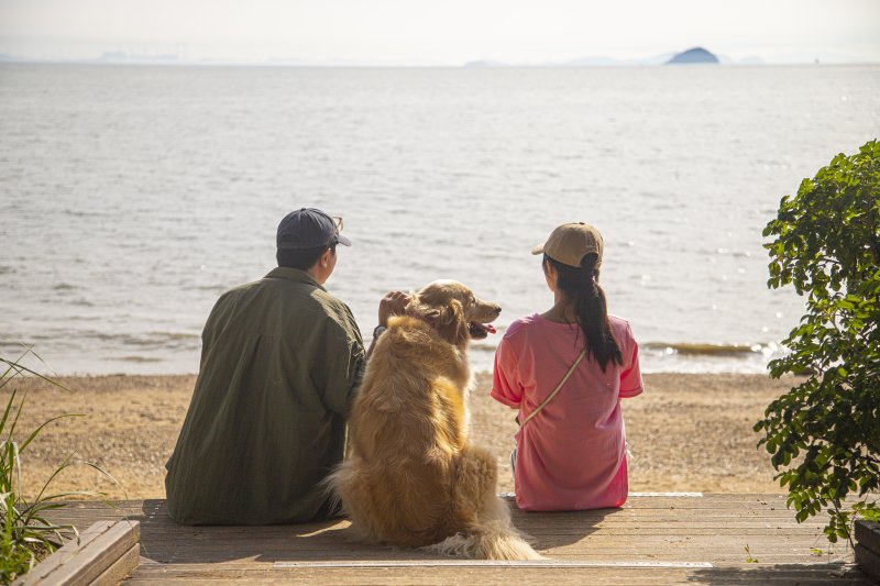 화성궁평오솔로파크(사진=카지노 꽁 머니 제공) *재판매 및 DB 금지