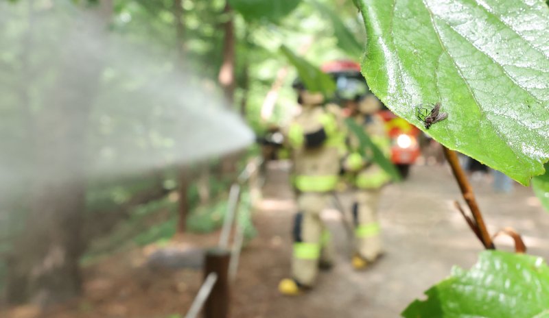 [온라인 바카라=뉴시스] 권창회 기자 = 3일 온라인 바카라 노원구 삼육대학교 인근 제명호에서 온라인 바카라소방 관계자들이 '러브버그(붉은등우단털파리)' 방제작업을 하고 있다. 2025.07.03. kch0523@newsis.com