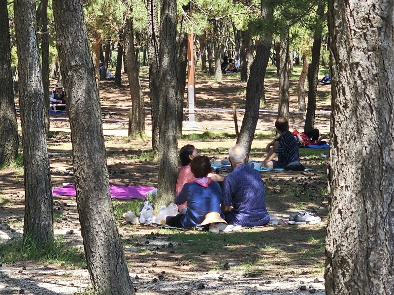 5일 낮 부산 다대포 다인카지노 해변공원을 찾은 시민들이 자리를 펴고 휴식을 취하고 있다. ⓒ 뉴스1 박민석 기자
