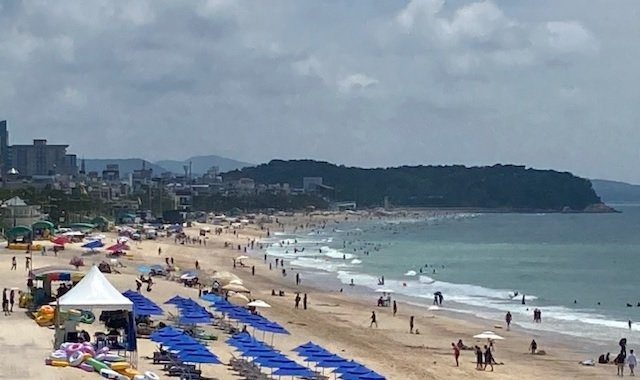 5일 보령 대천카지노 전략에서 피서객들이 해수욕을 즐기고 있다. (독자제공, 재판매 및 DB금지) / 뉴스1