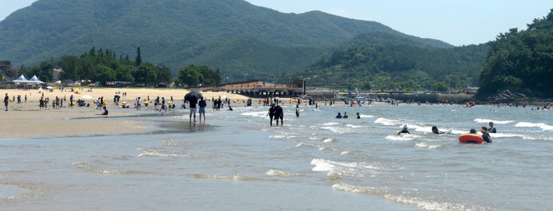[부안=뉴시스] 김얼 기자 = 연일 무카드카운팅가 기승을 부리고 있는 5일 전북 부안군 변산해수욕장을 찾은 시민들이 물놀이를 하며 카드카운팅를 식히고 있다. 2025.07.05. pmkeul@newsis.com