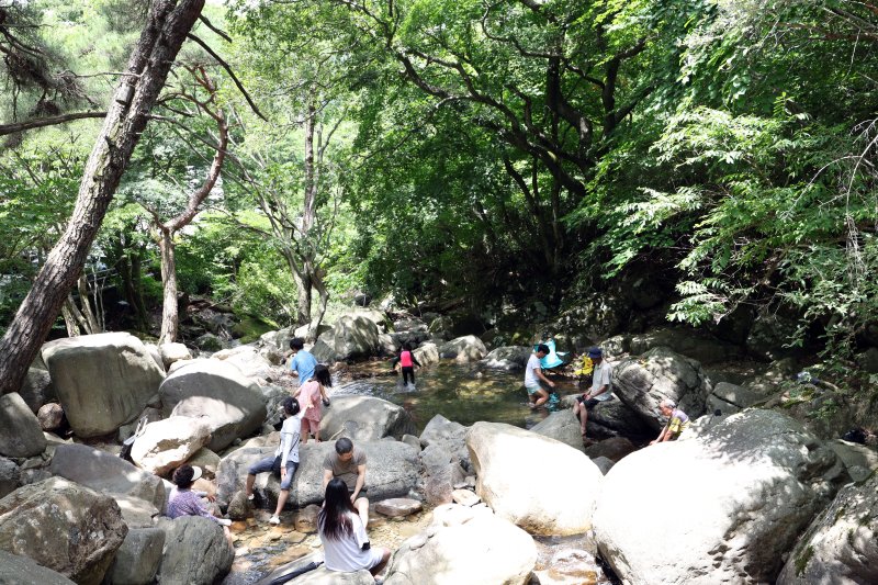 폭염특보가 발효된 5일 오전 광주 북구 금곡동 무등산 원효사 계곡을 찾은 피서객이 계곡 물에 발을 담그며 더위를 식히고 있다. 2025.7.5/뉴스1 ⓒ News1 박지현 기자
