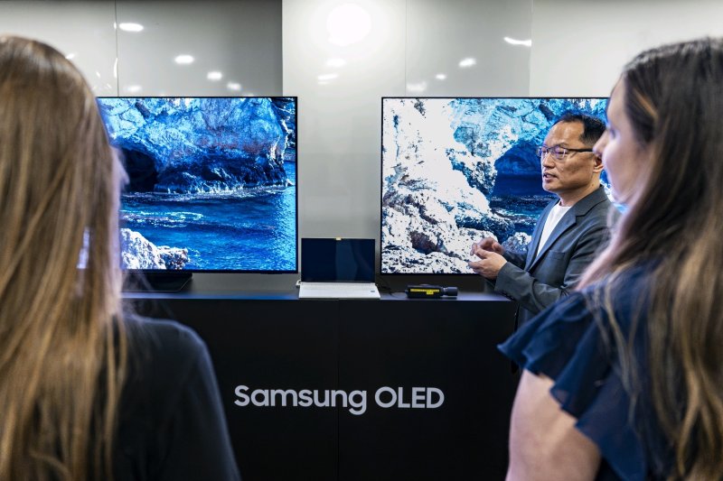 브라질 상파울루에서 지난 달 열린 '2025 중남미 VD 세미나'에서 참석자들이 OLED의 화질 기술을 살펴보고 있다.(삼성전자 제공)